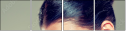 54860040