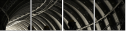 54870569