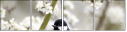54886078