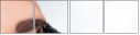 54890917