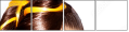 54891018