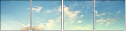 54950559