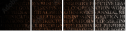 54969981