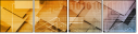 54970423