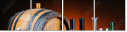 54989350