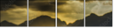55016403