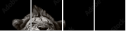 55022954
