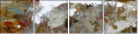 55026484