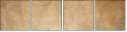 55151919