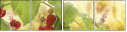 55198939