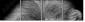 55206469