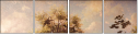 55361975