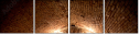 55367505
