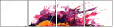 55373933