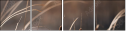 55661015