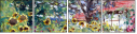 55761448