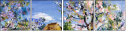 55763445