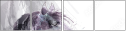 55806223