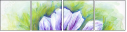55838405