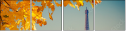 55873344