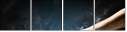 55886651