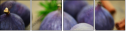 55956609