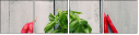 55979167