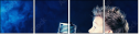 56092881