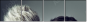 56245304