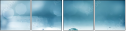 56349902