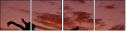 56391467