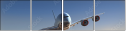 56401870