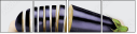 56471033