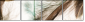 56562123