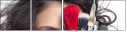 56580479