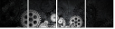 56625717