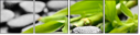 56688548