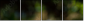 56795972