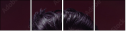 56850296