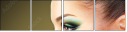 56879552