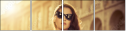 56921683