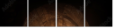 56940386