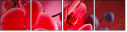 56946263