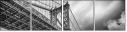 57021622