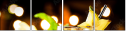 57074145