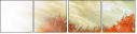 57199536