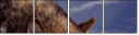 57250614