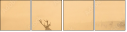 57269660