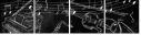 57321160