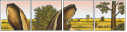57328279